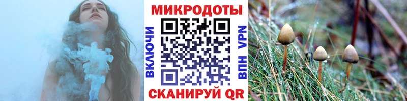 кракен ТОР  Белокуриха  Псилоцибиновые грибы прущие грибы 